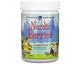 Мультивітаміни для дітей Nordic Naturals Nordic Berries Multivitamin 200 желейних мармеладок, фото 3