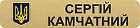 Бейдж металлический золотой с гербом Украины бирка для полиции на булавке или магните