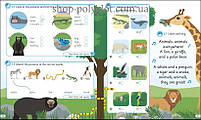 Підручник English for Everyone Junior: beginner's Course, фото 4