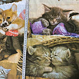 Преміум бязь з котиками та собачками, ш. 150 см, фото 6