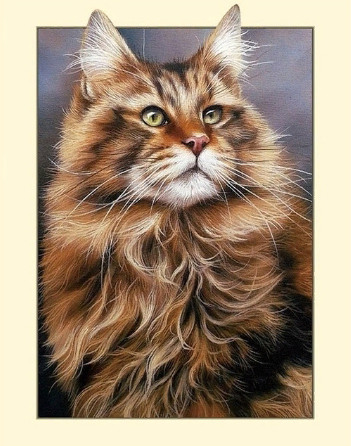 Алмазна мозаїка Мейн-кун 30 x 40см без рамки в коробці (C521), фото 1