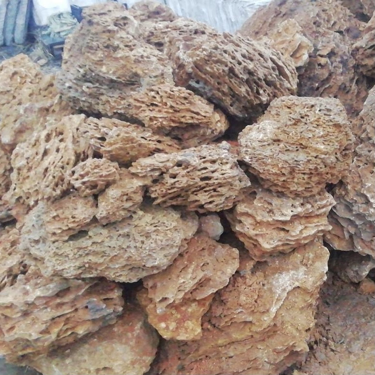 Валун "Ракушняк" для ландшафтного дизайну та клумб, фото 1