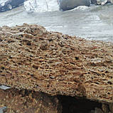 Валун "Ракушняк" для ландшафтного дизайну та клумб, фото 4