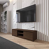 Тумба ТВ під телевізор, тб тумба з полицею на 2 двері з фасадами без ручок R-14, фото 7