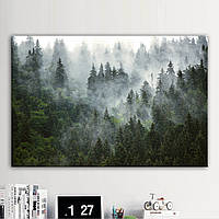 Картина интерьерная на холсте Туманный лес