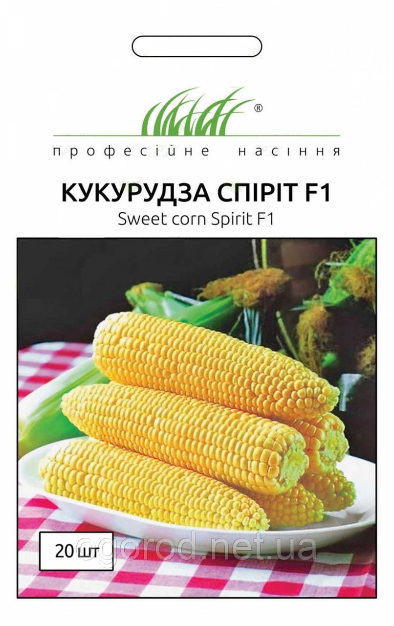 Спіріт F1 20 шт насіння кукурудзи Syngenta Голландія