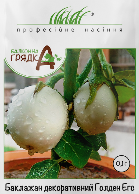 Баклажан кімнатний Голден Егс Hem Zaden Голландії 0,1 грама, фото 1