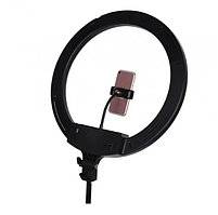Кільцева LED-лампа AL-360 36 см з тримачем для телефона та пультом
