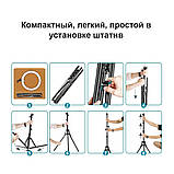 Набір блогера 5в1 кольорова RGB LED лампа 36см Штатив 2м Селфі-трипод Bluetooth екшн камера Петличний мікрофон, фото 6