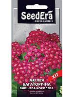 Ахілея Вишнева королева 0.1 гр SeedEra (багаторіч.)