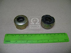 Сальник ущільнення водяного насоса МТЗ, Д240