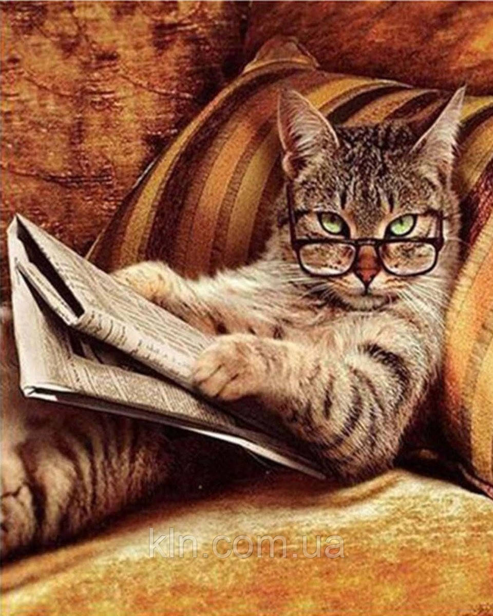 Алмазна мозаїка на підрамнику 50 х 40 см Вчений кіт (арт. TN987), фото 1
