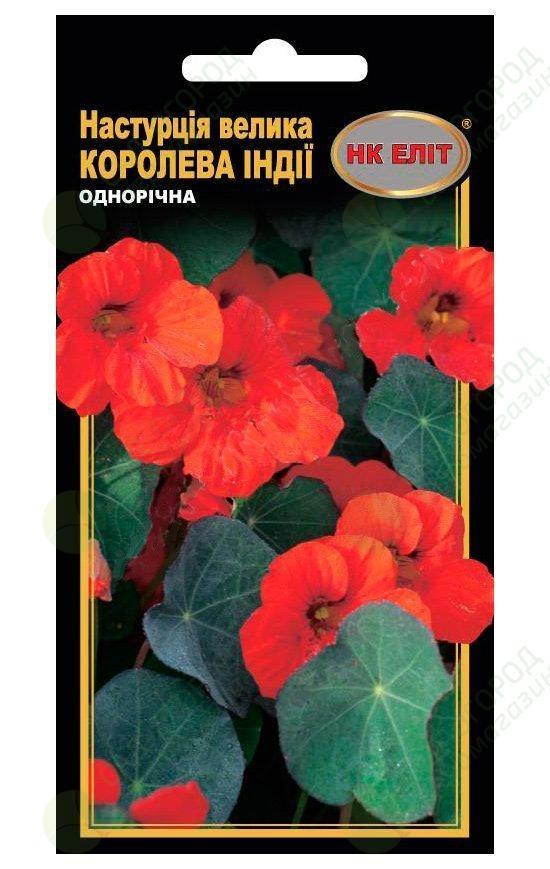 Насіння квітів Настурція Королева Індії, 10 шт., фото 1