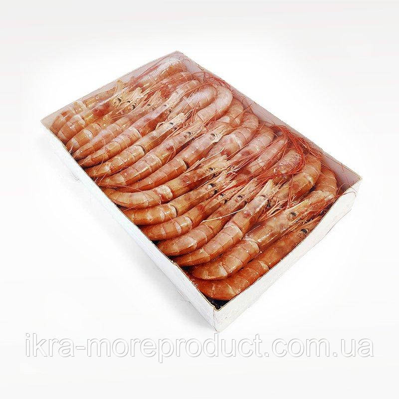 Креветки королівські з головою Лангустини L2 20-30 штук на кг - фото 1 - id-p521941971