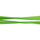 Стрічка опору RESISTANCE LOOP Sport 001-G жорсткість XS Green, фото 2