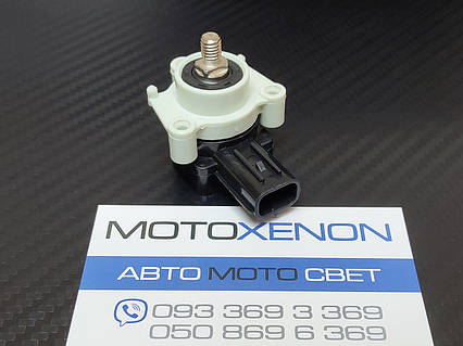 まっつ Joma ホマ トップフレックス IN(マルチ) TOPW2576IN マルチ