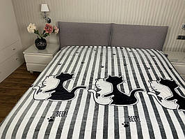 "коти" плед євро розмір 200/230 см, мікрофібра