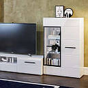 Стінка для вітальні з ДСП/МДФ (гостиная стенка) Токіо Світ Меблів, фото 2