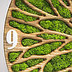 Годинник настінний з мохом, фото 6