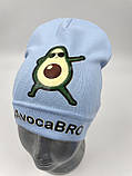ОПТ, Дитяча трикотажна шапочка ковпак для хлопчика «AvocaBRO», фото 3