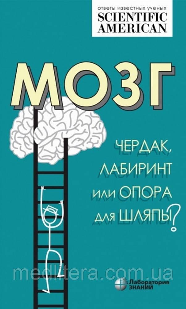 Мозок: горище, лабіринт або опора для капелюха? - Таккер К. 2020 р.