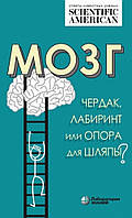 Мозг: чердак, лабиринт или опора для шляпы? - Таккер К. 2020 г.