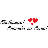 Вінілова наклейка на виписку з пологового будинку - Кохана! Спасибі за сина!