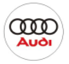 Захисні ковпачки на ніпеля AUDI (Ауді) 4 шт Білий фон Червона напис Хром, фото 3