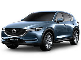 CX 5