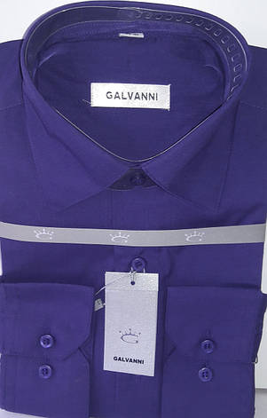 Сорочка чоловіча Galvanni vd-0003 фіолетова однотонна класична з довгим рукавом, фото 1