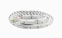 Світлодіодна стрічка 24 вольта 2835-60-IP33-CWd-8-24 RN0860TC-B 6500К 5.5Вт 530лм Rishang 14535