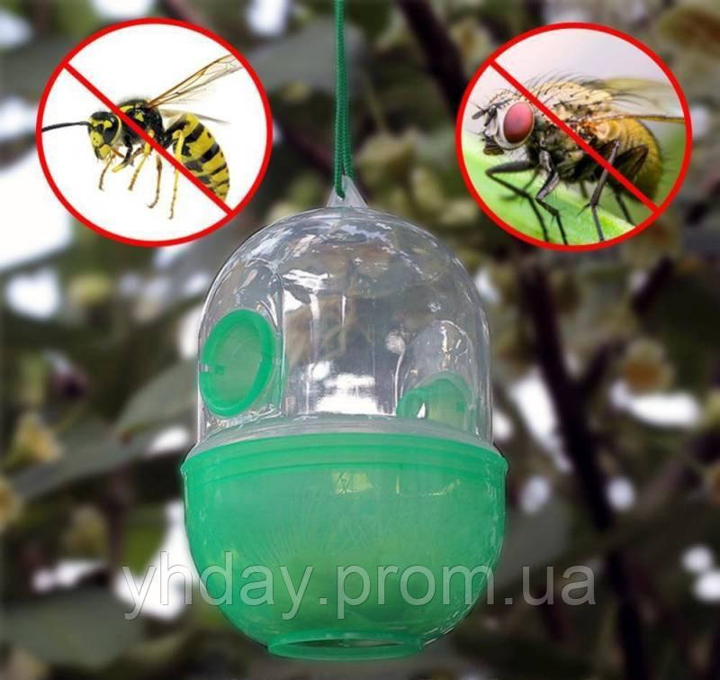 Ловушка Wasp Trap для Мух, Ос, Слепней и Других Летающих Насекомых ...