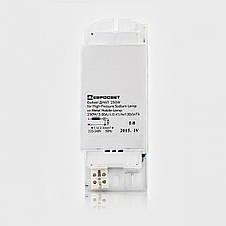 Комплект ДНаТ 250 Вт Lightoffer, фото 3