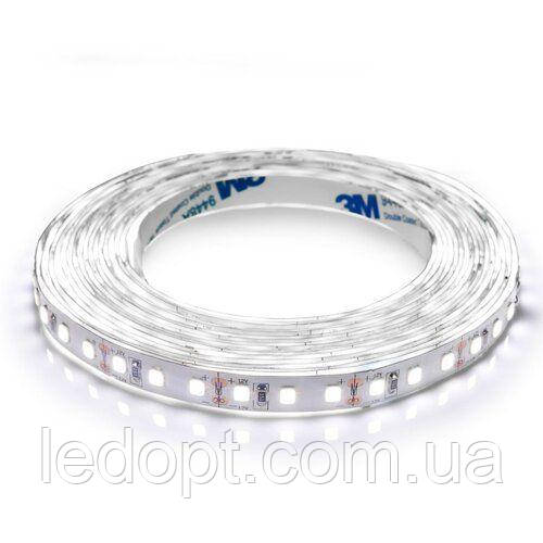 Світлодіодна стрічка SMD3528 13,5 W 120LED/m 12V IP20 Professional білий холодний 7000-7500k