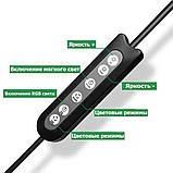 Набір блогера 5в1 кольорова RGB LED лампа 36см Штатив 2м Селфі-трипод Bluetooth екшн камера Петличний мікрофон, фото 5