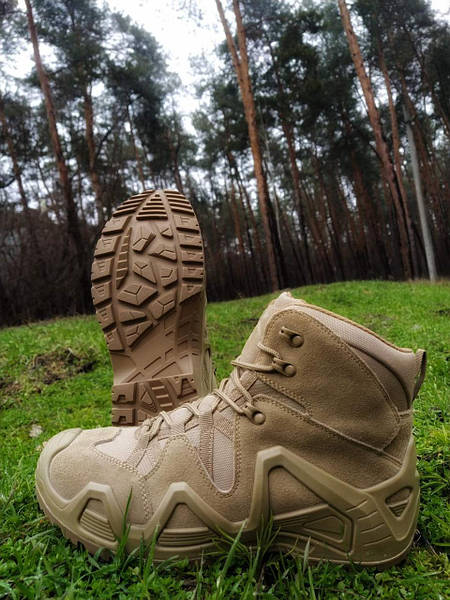 Черевики тактичні Alligator Coyote: продажа, цена в Киеве. Тактическаяобувь от \