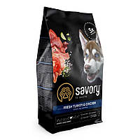 Сухой корм Savory Junior Large для щенков крупных пород с индейкой и курицей 3кг