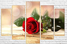 Модульна картина «Ніжний бутон», червона троянда