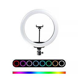 Лампа кільцева RGB d10 (170 діодів) 26 см