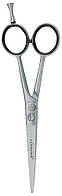 Ножницы для стрижки прямые Kiepe 244/5,5 (2016Gu)