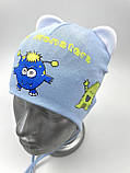Трикотажна шапочка для хлопчика з зав'язками «Little monsters», ОПТ, фото 2