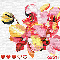 Картина за номерами Орхідея, кольорове полотно, 40*40 см, без коробки