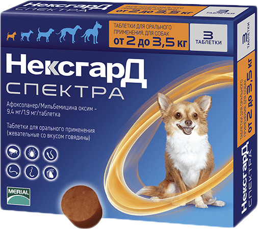 NexGard Spectra XS (Нексгард Спектра XS) таблетки від кліщів, бліх і гельмінтів для собак вагою від 2 до 3.5 кг