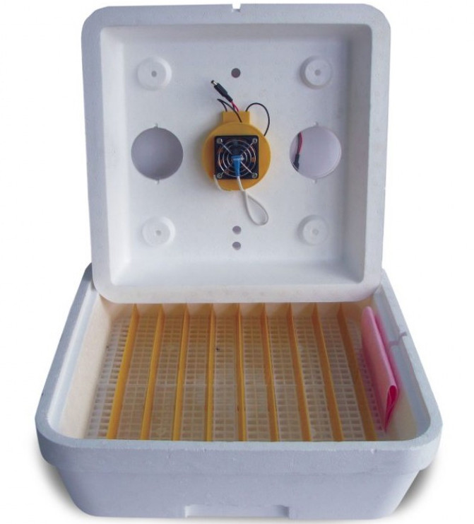Инкубатор автоматический для яиц с резервным питанием Веселое семейство 12В - фото 3 - id-p1376430226