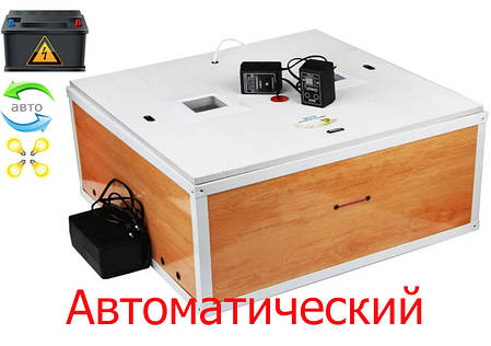 Инкубатор автоматический Курочка ряба 60 ламповый, фото 2