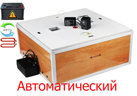 Інкубатор автоматичний Курочка ряба 120 яєць теновий, фото 2
