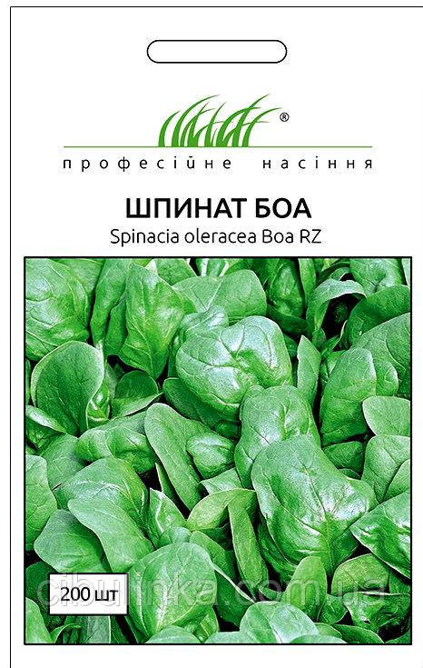 Шпинат Боа Rijk Zwaan/Нідерланди 200 шт, фото 1