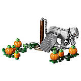 LEGO Harry Potter 75947 Хіжина Геґріда порятунок Журавлина, фото 7