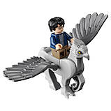 LEGO Harry Potter 75947 Хіжина Геґріда порятунок Журавлина, фото 8
