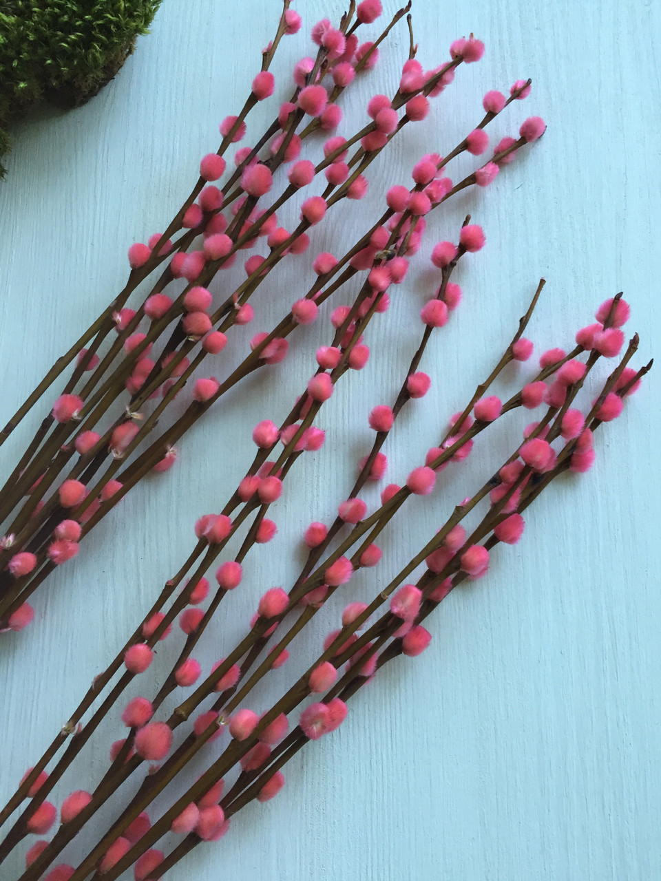 Гілки верби рожеві (10 шт)